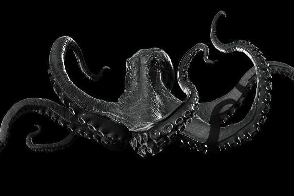 Kraken 15 at