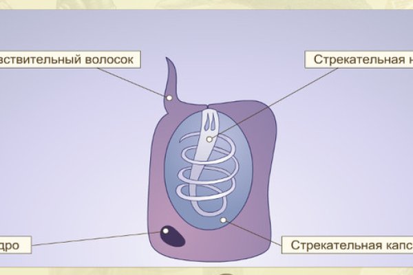 Что случилось с кракеном маркетплейс