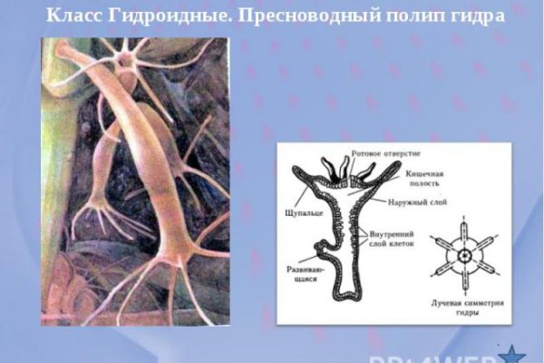 Кракен официальный сайт 2krnk cc