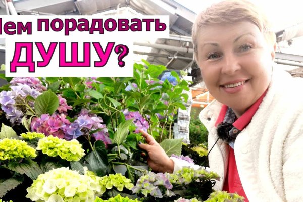 Кракен упал