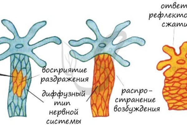 Официальная тор ссылка кракен сайта