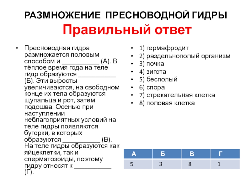 Рабочее зеркало на кракен